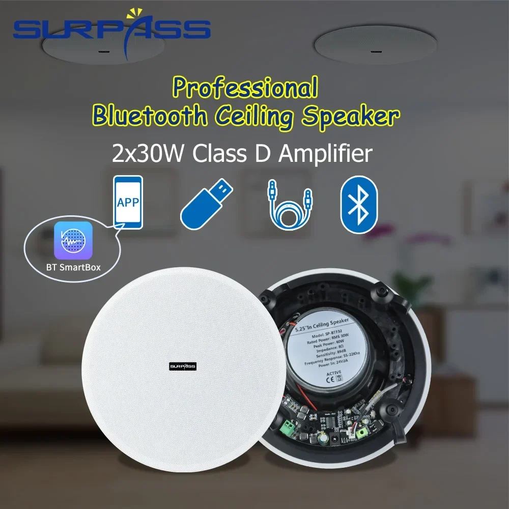 Ceiling Bluetooth Speaker 5.25 - مراجعة Home Cinema Bluetooth 5.1 وسعره