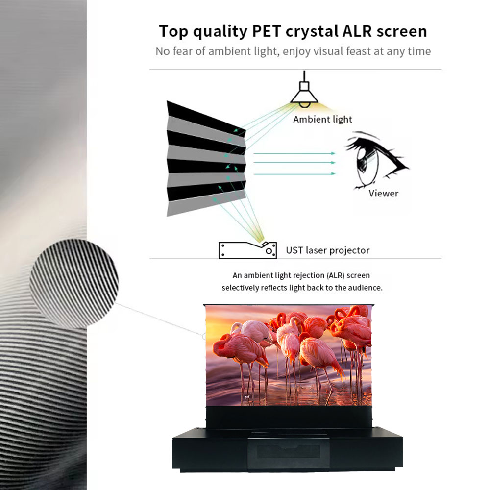 New Beauty Trends 120 Inch 4K  - مراجعة Home Cinema Tv Screen وسعره